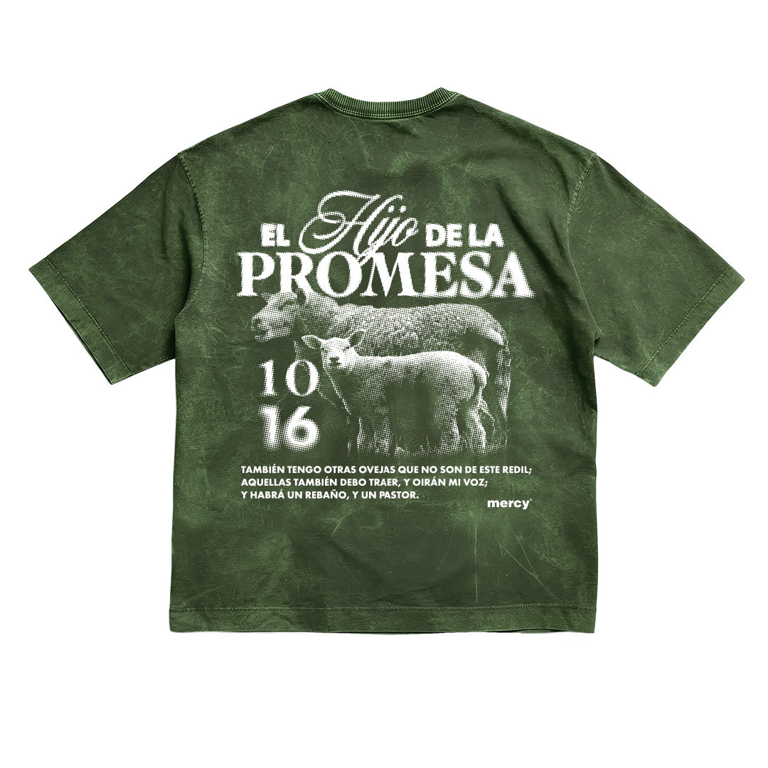 Camiseta Hijo Promesa