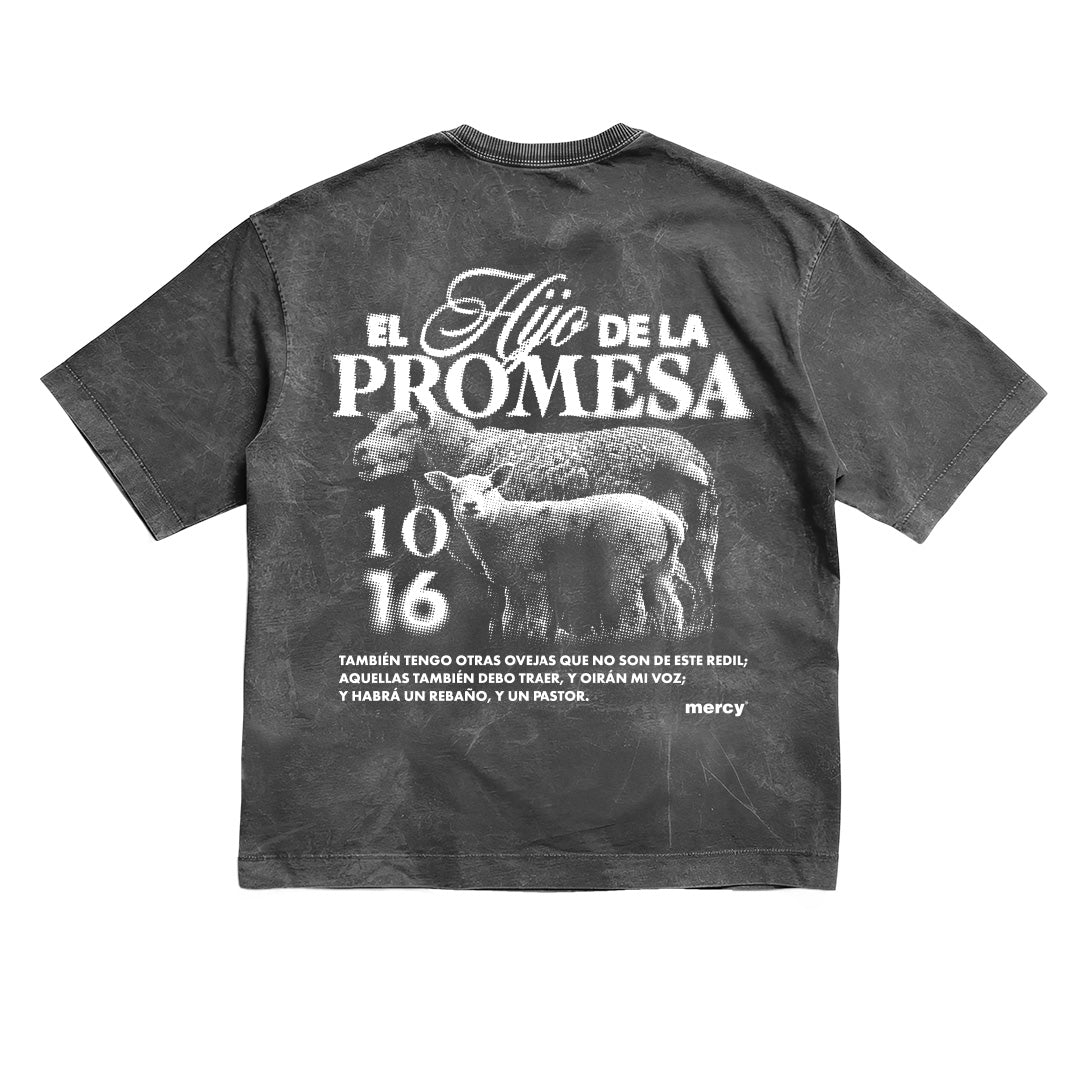 Camiseta Hijo Promesa